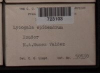 Image Associated With the Occurence